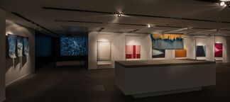 Fields of Abstraction - Curated by Justin Charles Hoover, installation view
