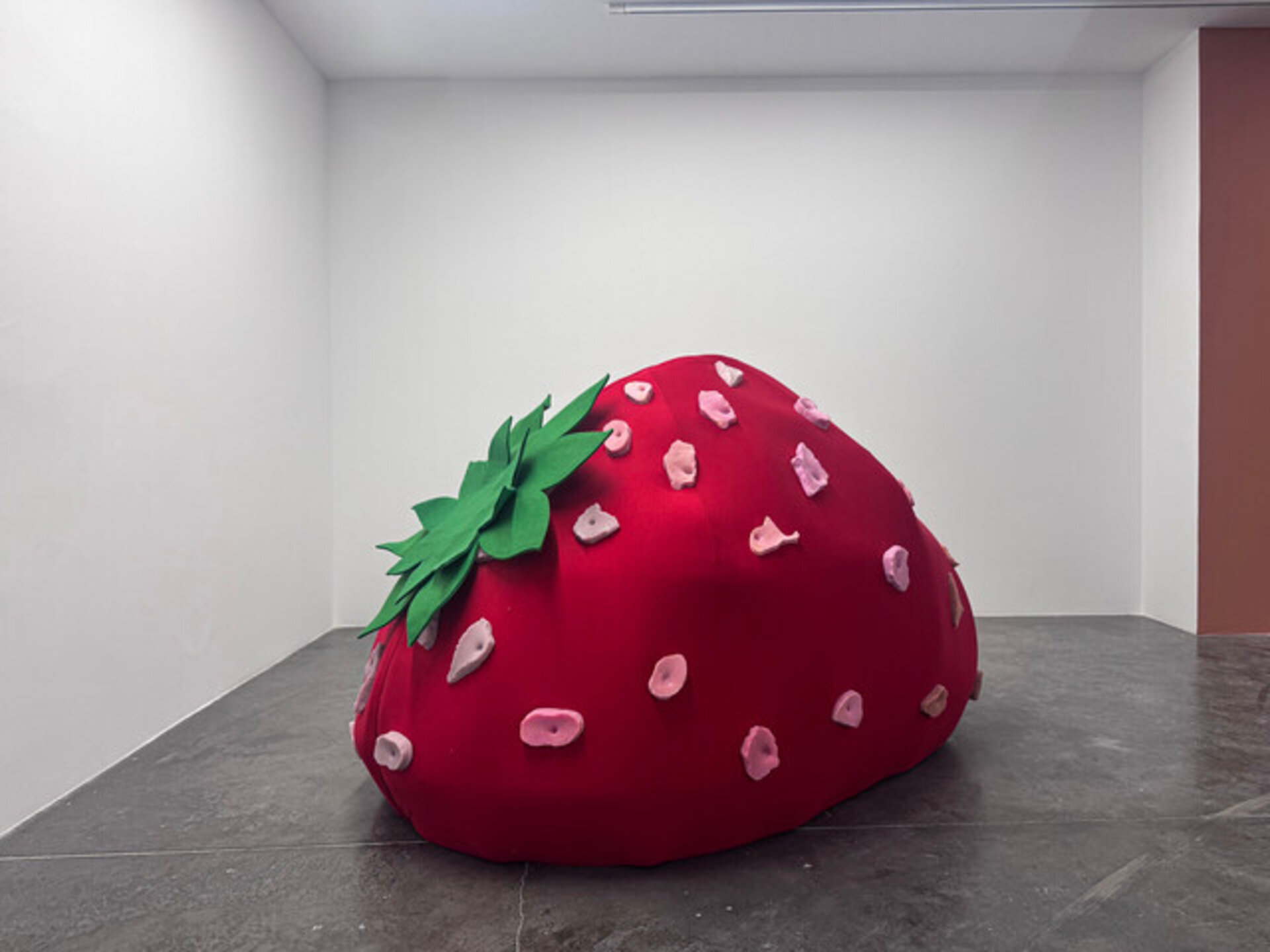 Shelled Strawberry