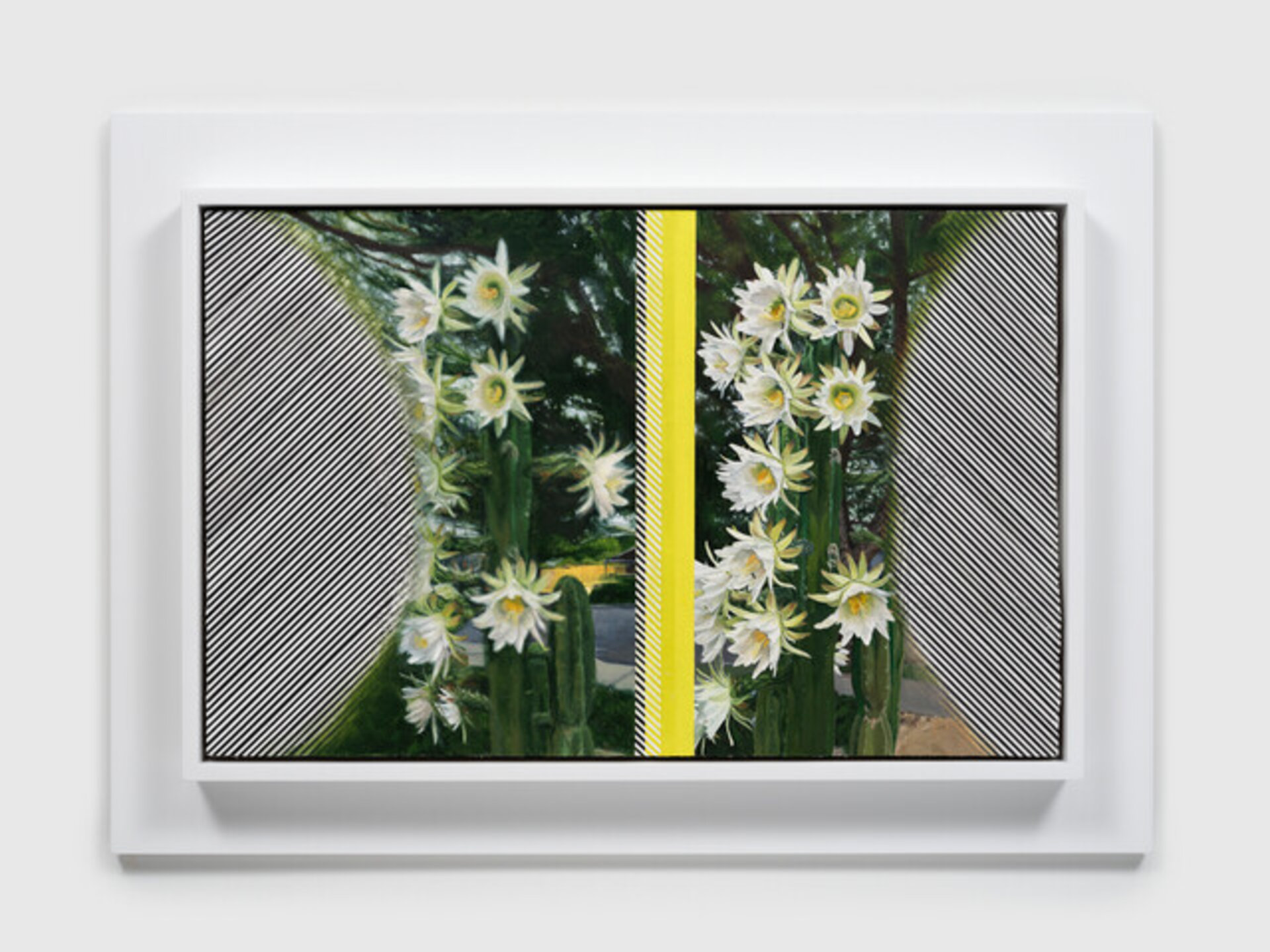 Cacti