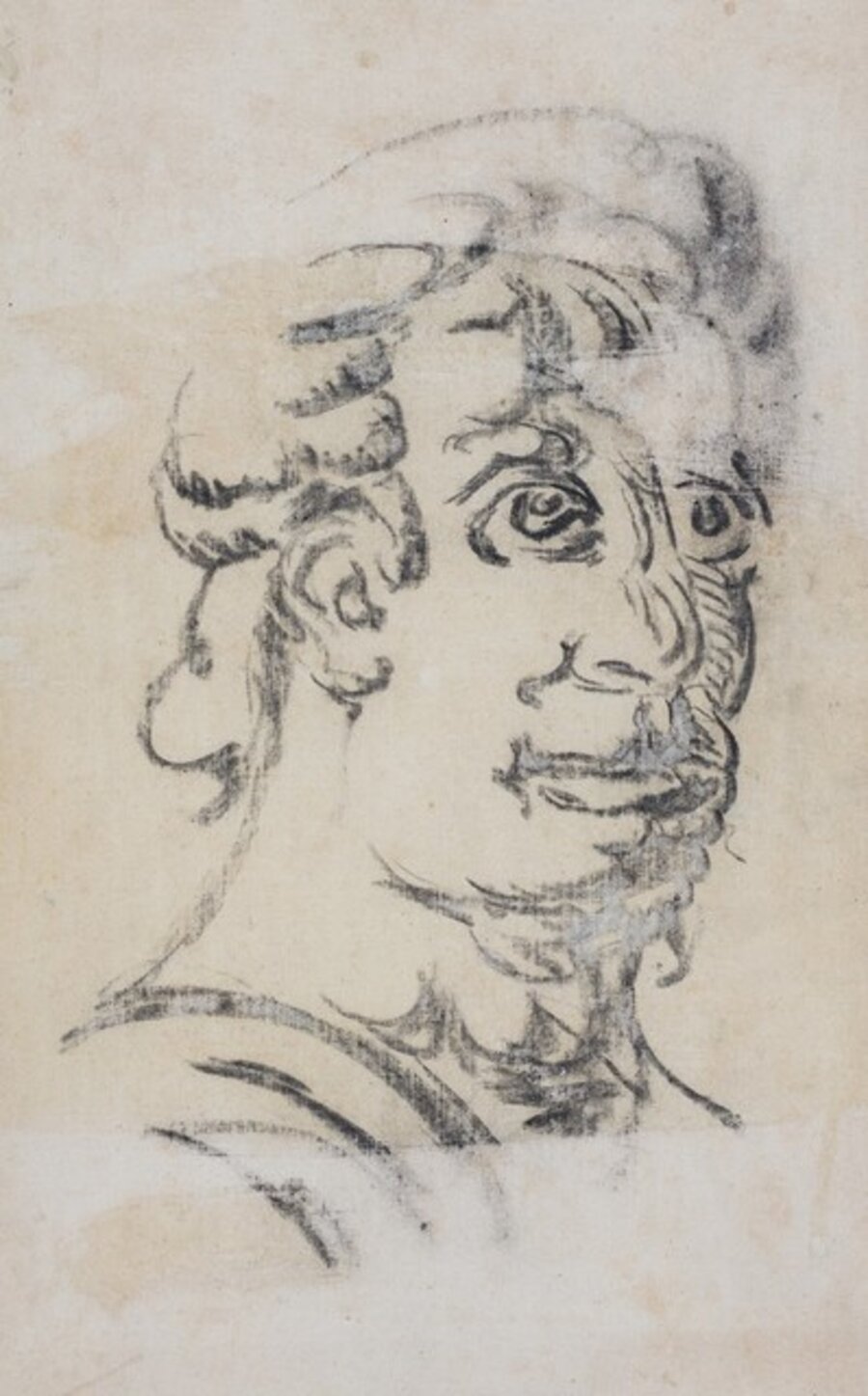 Testa