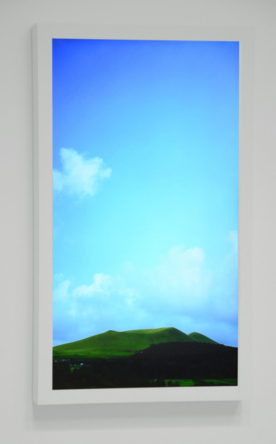 A New Landscape #1