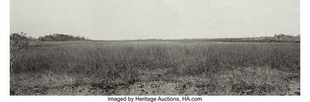 Mary Peck, ‘Everglades #8 and Everglades #33 (two photographs)’