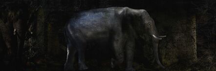 Toru Tanno, ‘Subterranean †elephant’, 2014