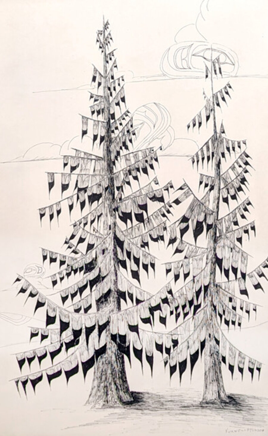 North West Coast Trees