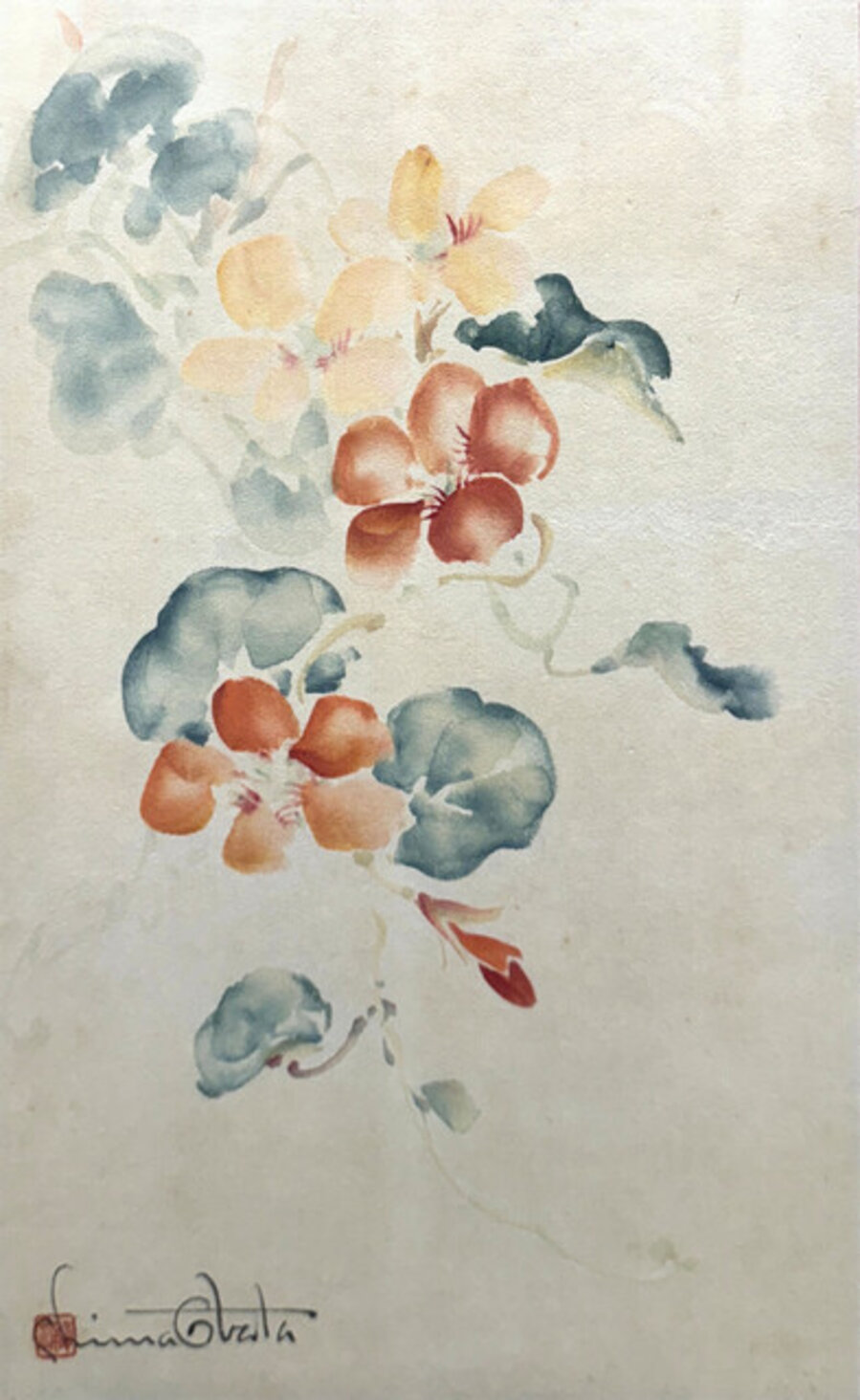 Nasturtiums