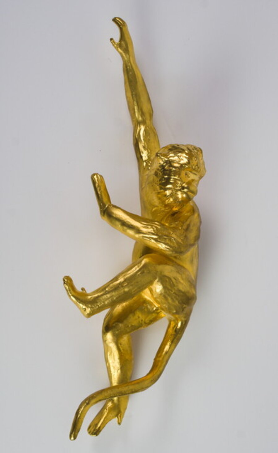 Golden Monkey