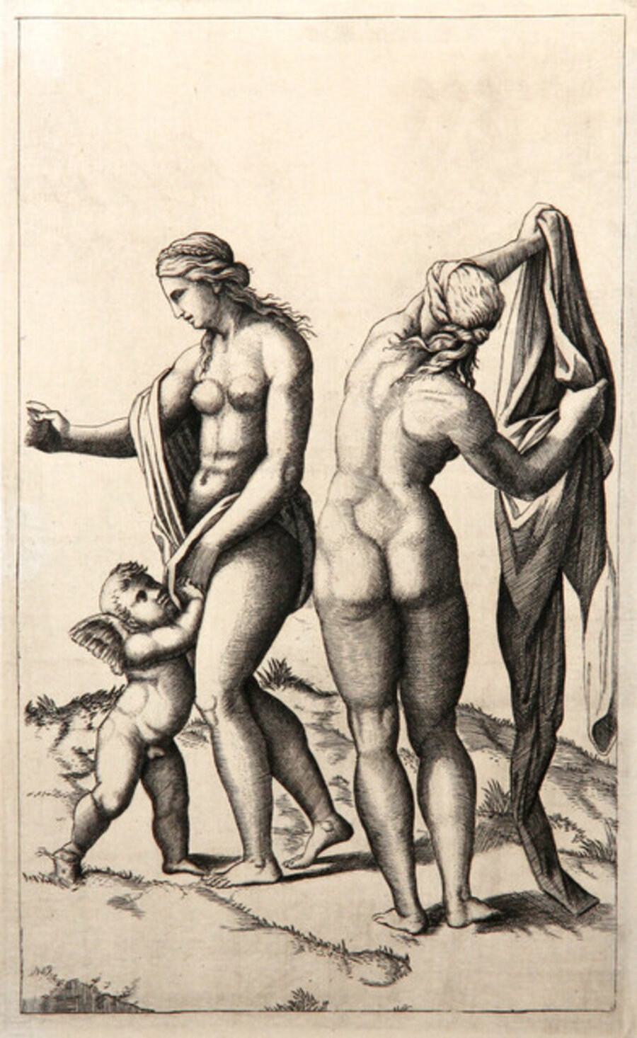 Venus l'Amour et Pallas