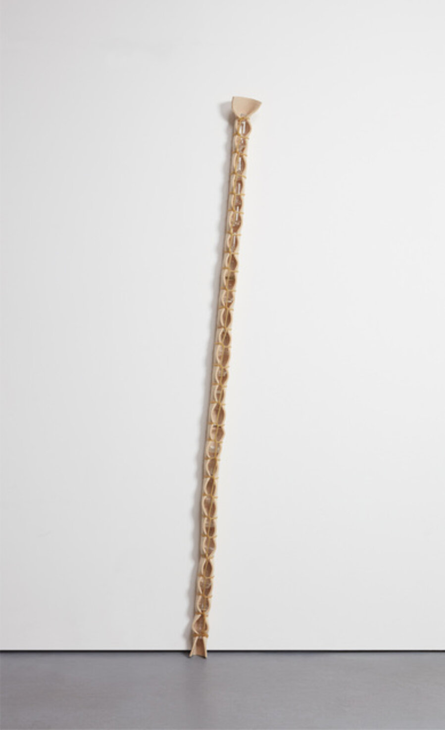 Untitled (Corpus Delicti)