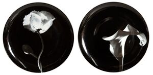 Pair of Porcelain Plates, Cala Lily and Poppy Flower