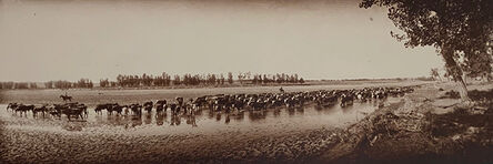 Laton Alton Huffman, ‘Throwing the Herd on Water’, ca. 1900