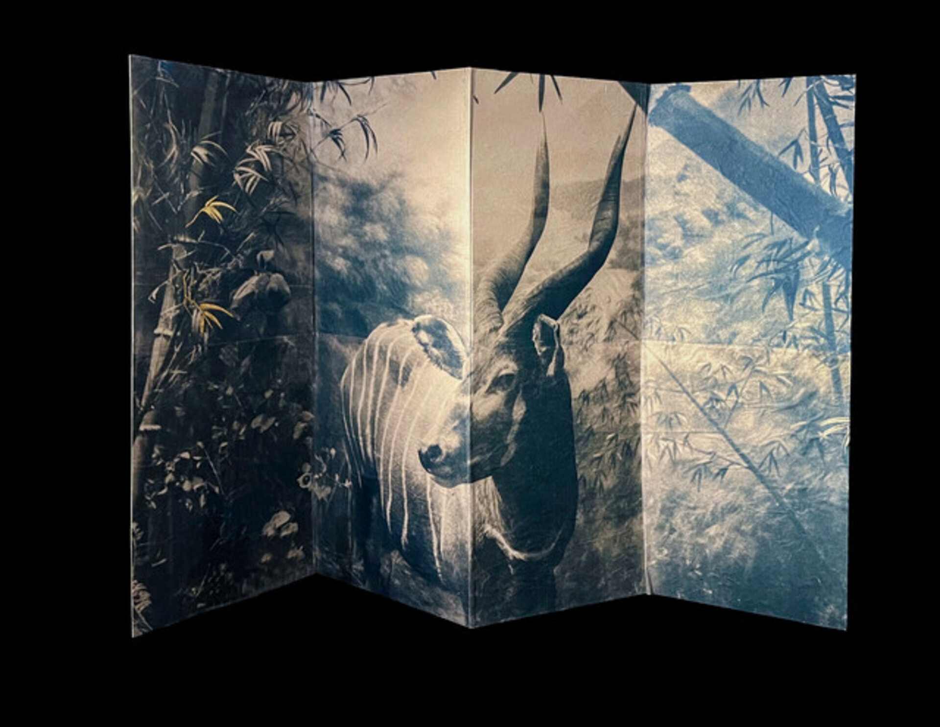 Anima Mundi