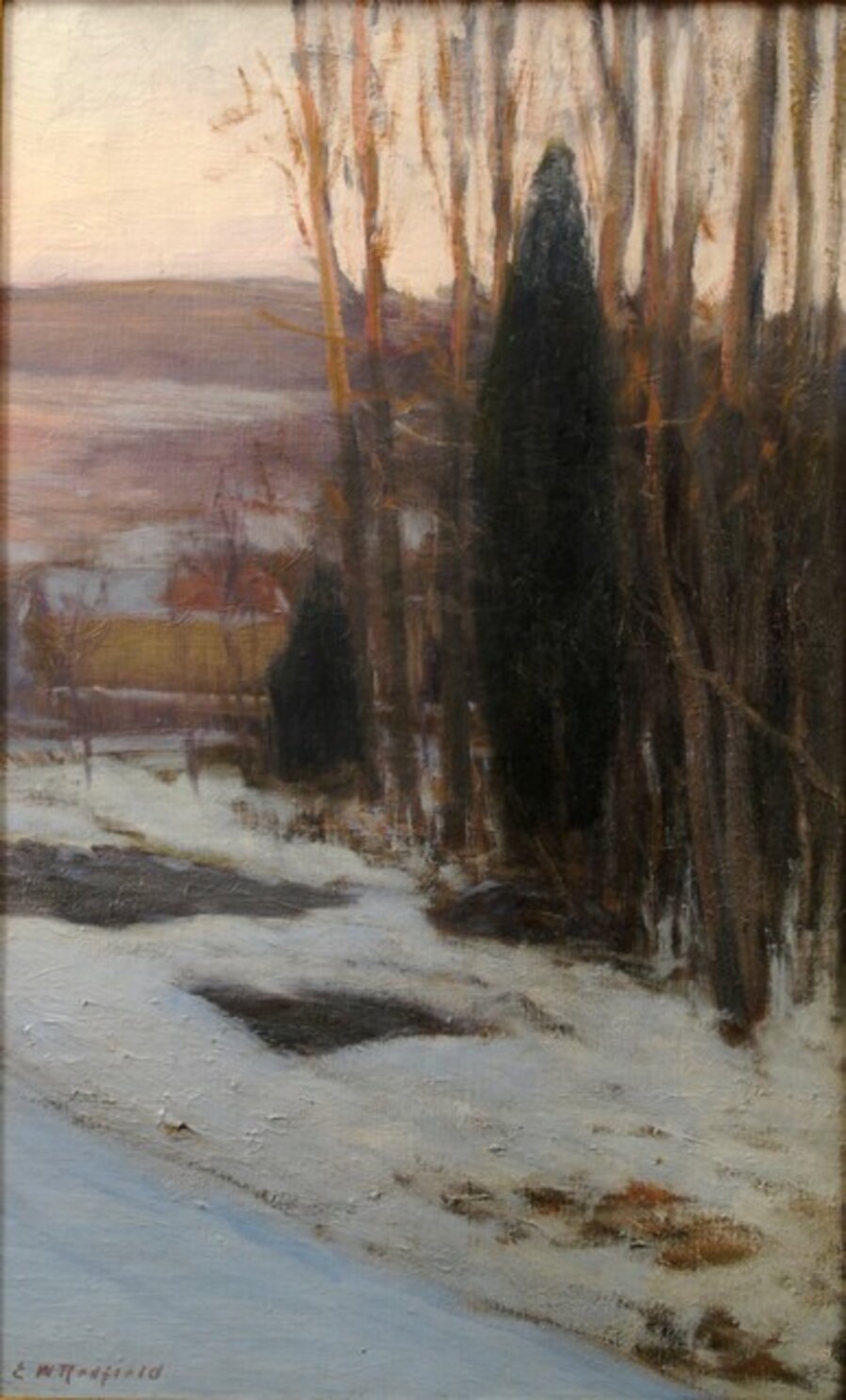 Winter Cedars