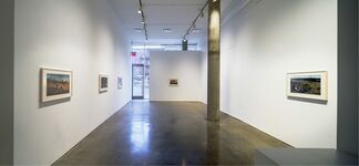 A Period of Juvenile Prosperity, installation view