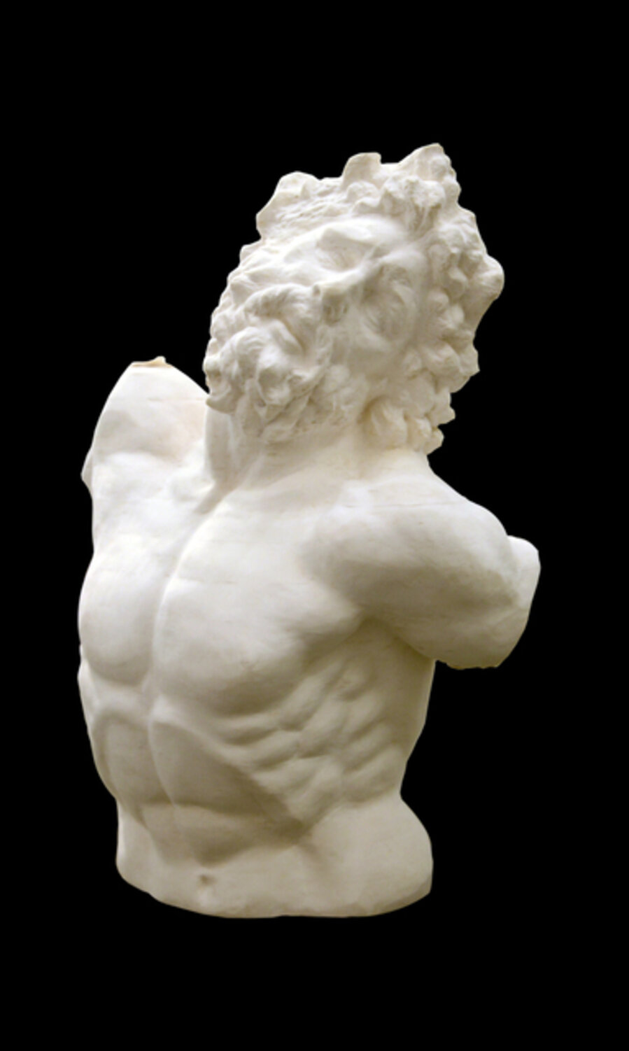 Bust of Laocoonte