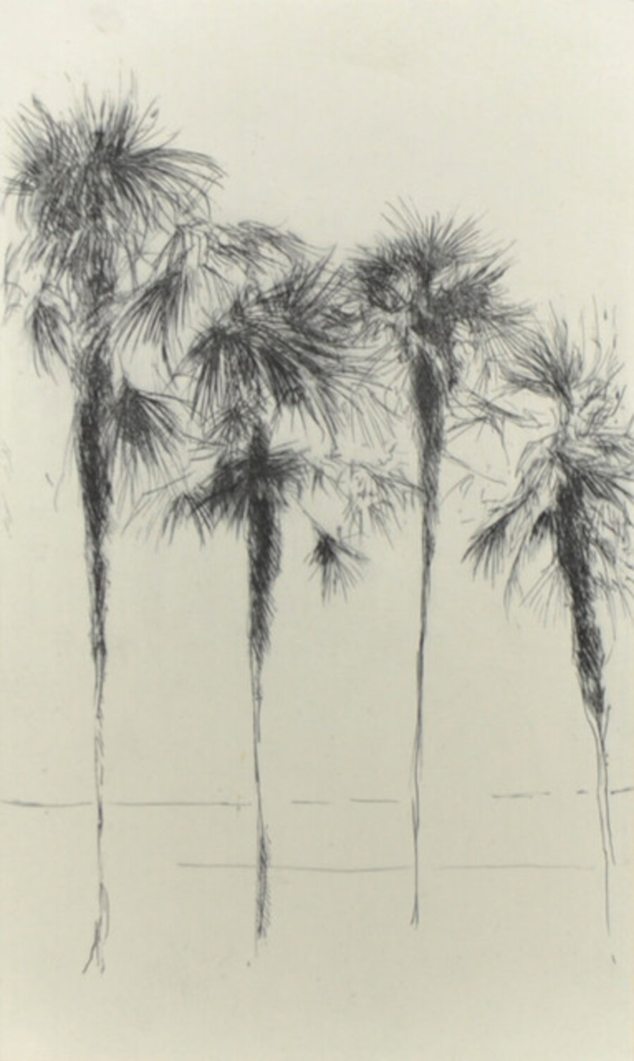 Palmeres