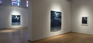 Robert Zakanitch “In the Garden of the Moon”, installation view