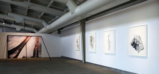 Radical Landscapes, installation view