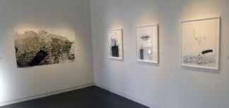 Daniel Diaz-Tai, installation view