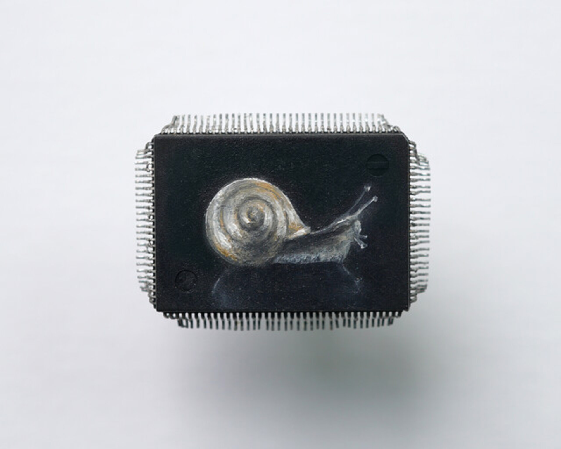 Snail