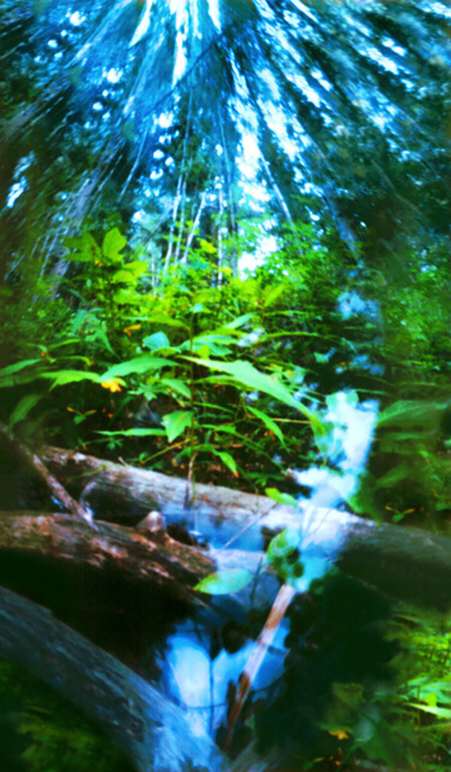 Meditations XIX