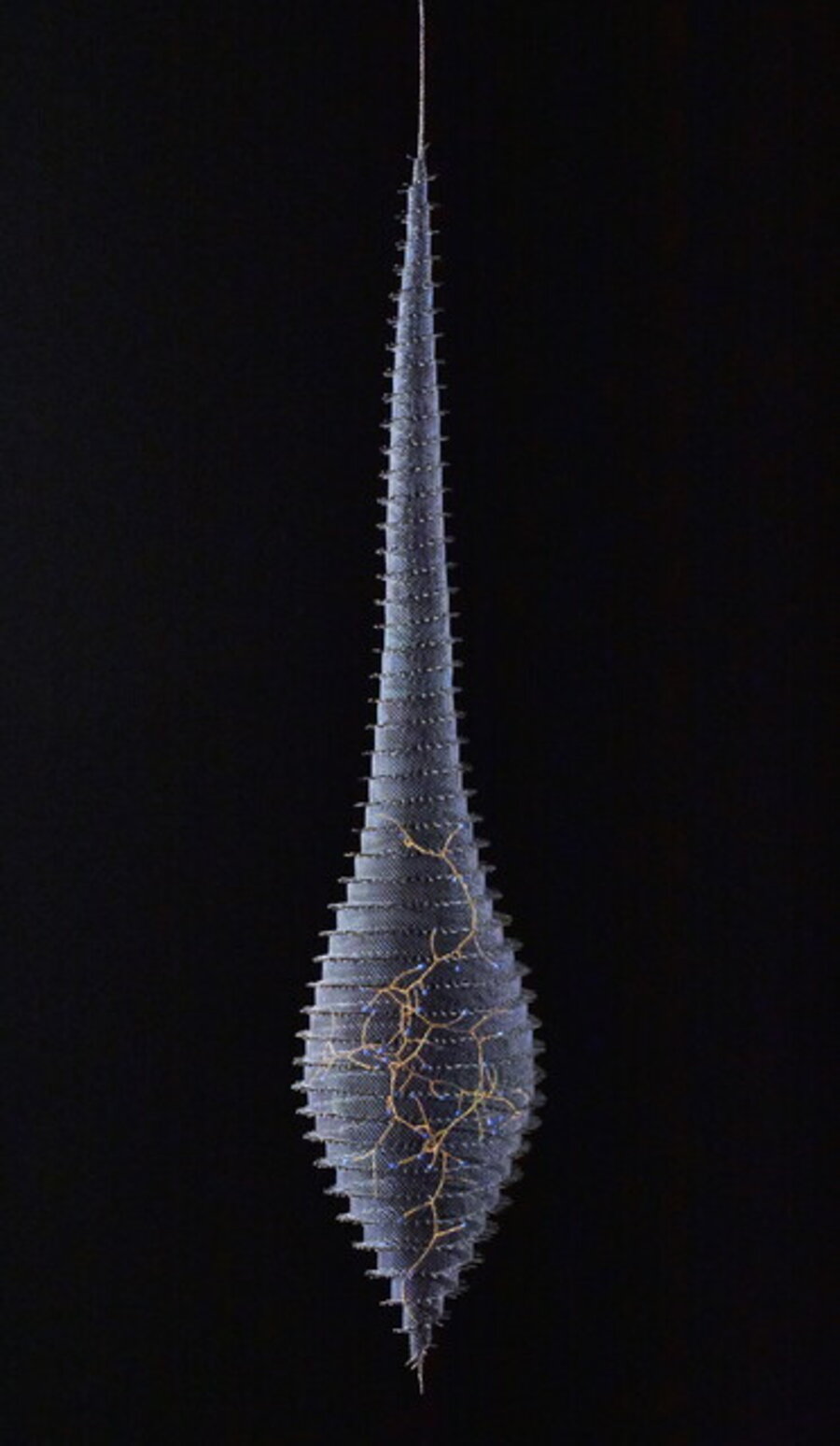 Blue Berry Pod