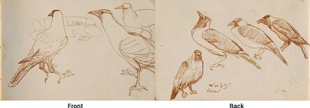 Dipen Bose, ‘Crow Series, Watercolour on Paper, Recto & Verso by Modern Indian Artist “In Stock”’, 1961-1964