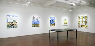 Earthscapes Contemporary Views of and from the Land, installation view