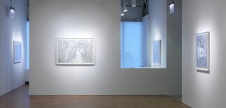 Scott Wolniak: Fields, installation view