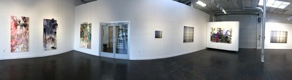 Natural History, New work by Anne Gregory & Traces, New work by Penny Olson, installation view