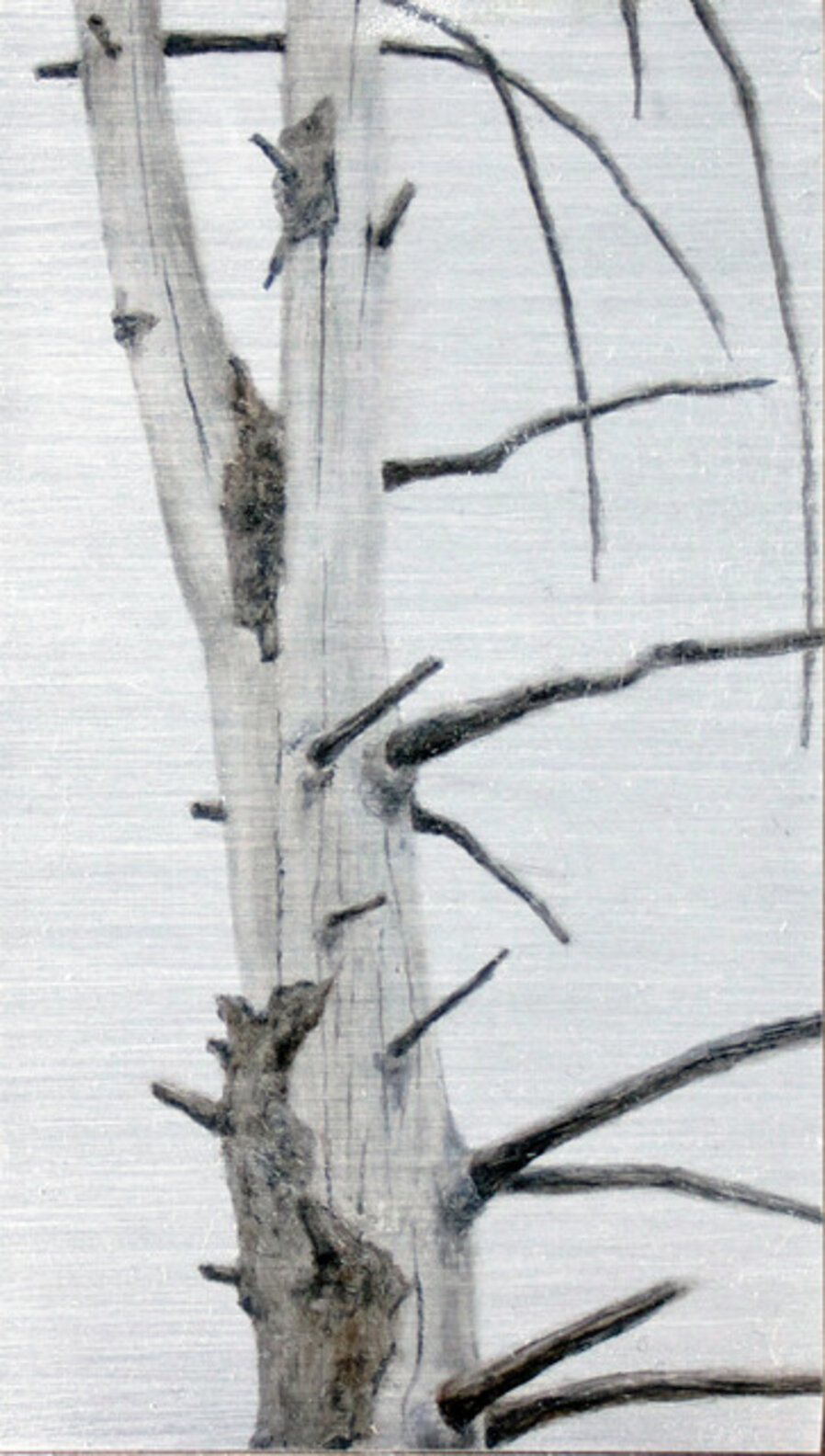 Eastern Hemlock Woolly Adelgid