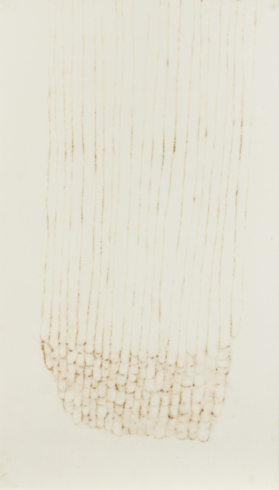 Table Drawing (Fingerprints)