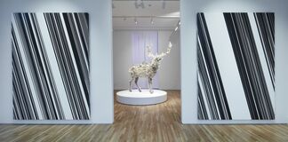 Kohei Nawa: Trans-figure, installation view