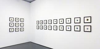 Dina Brodsky | Cycling Guide to Lilliput, installation view