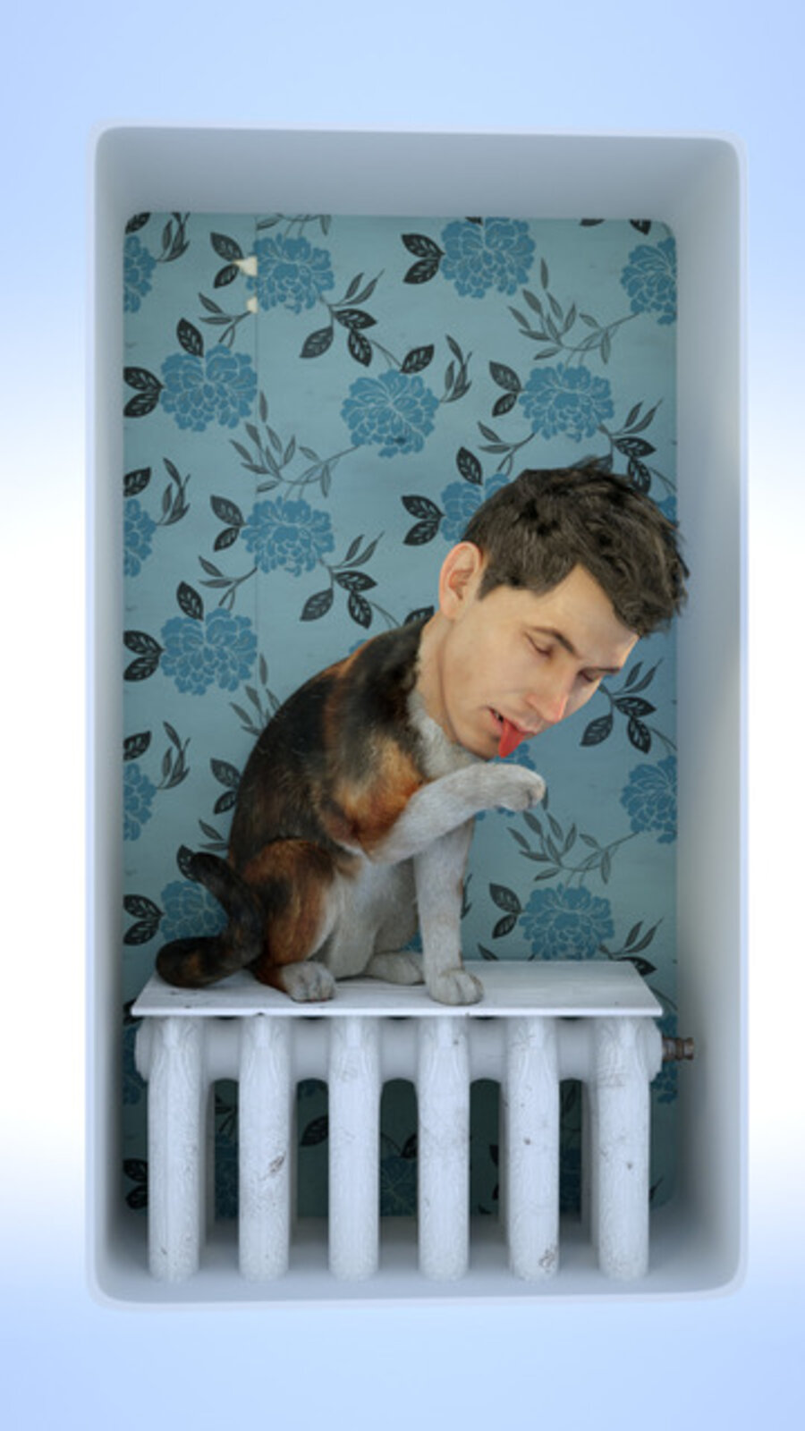 Cat-ala