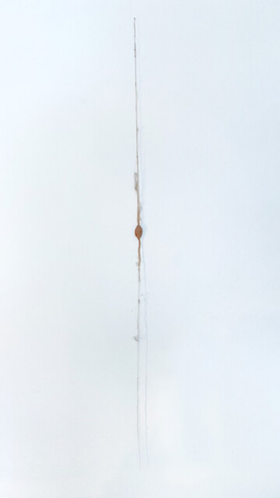 Untitled (silk string)