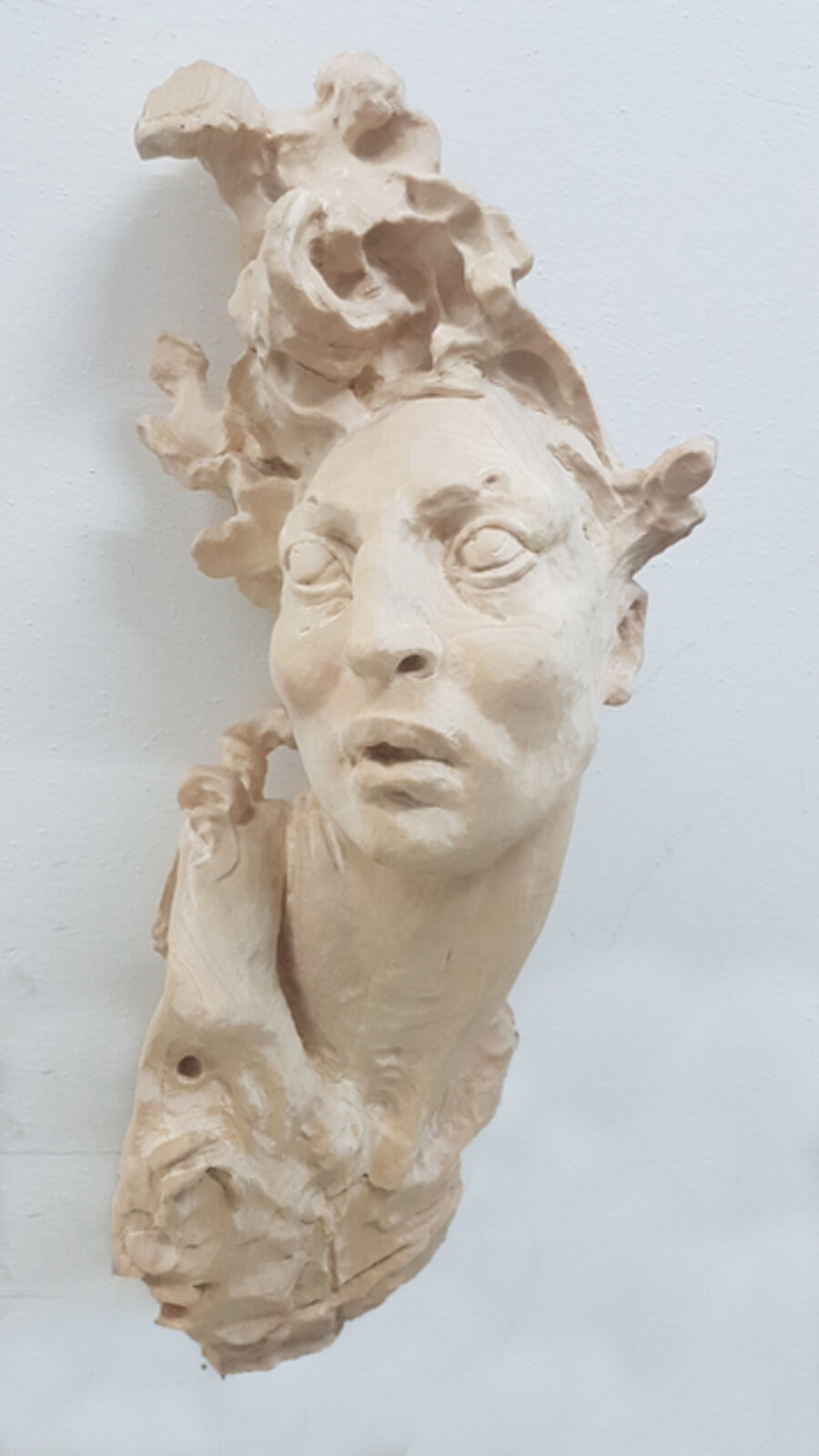 Maqueta cabeza chico I