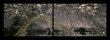 Frank Hallam Day, ‘Cherry Blossom 100, diptych’, 2011