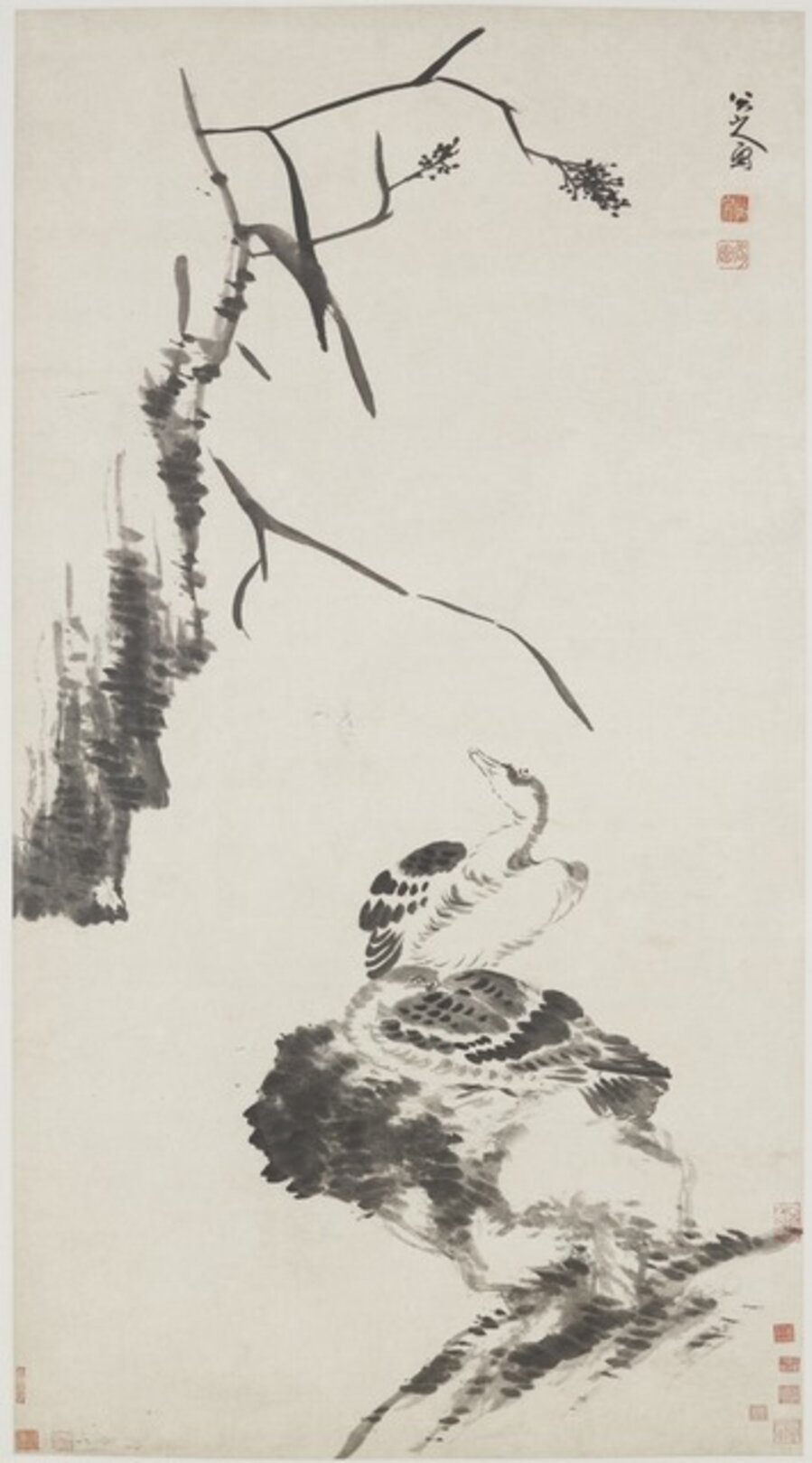 Two Geese