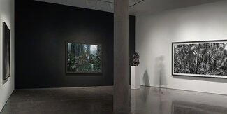 Simen Johan, installation view