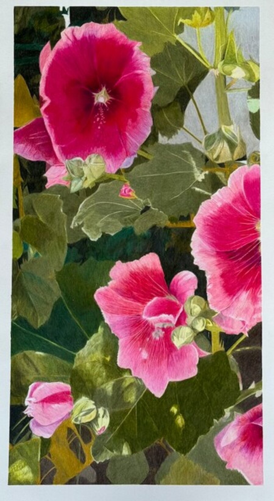 Hollyhocks Taos