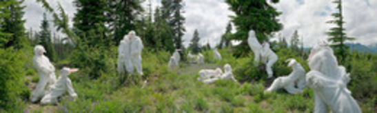 Steven Miller, ‘Proof of Homosexuality in Nature’, 2006