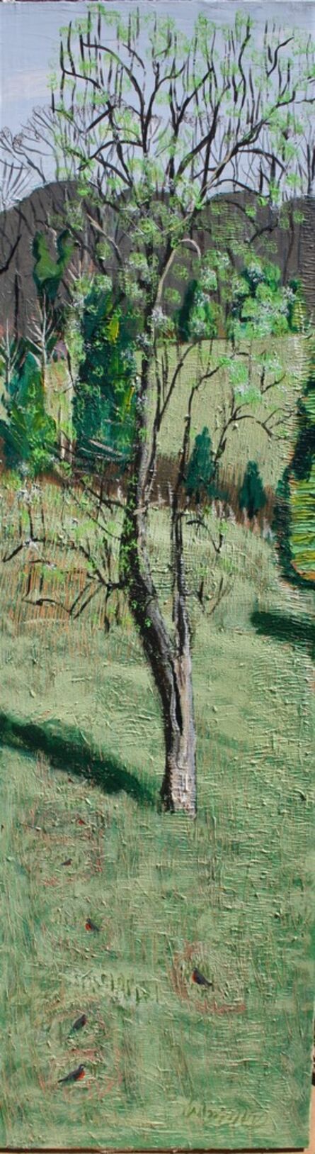 John Borden Evans, ‘Spring Pear Tree’, 2017