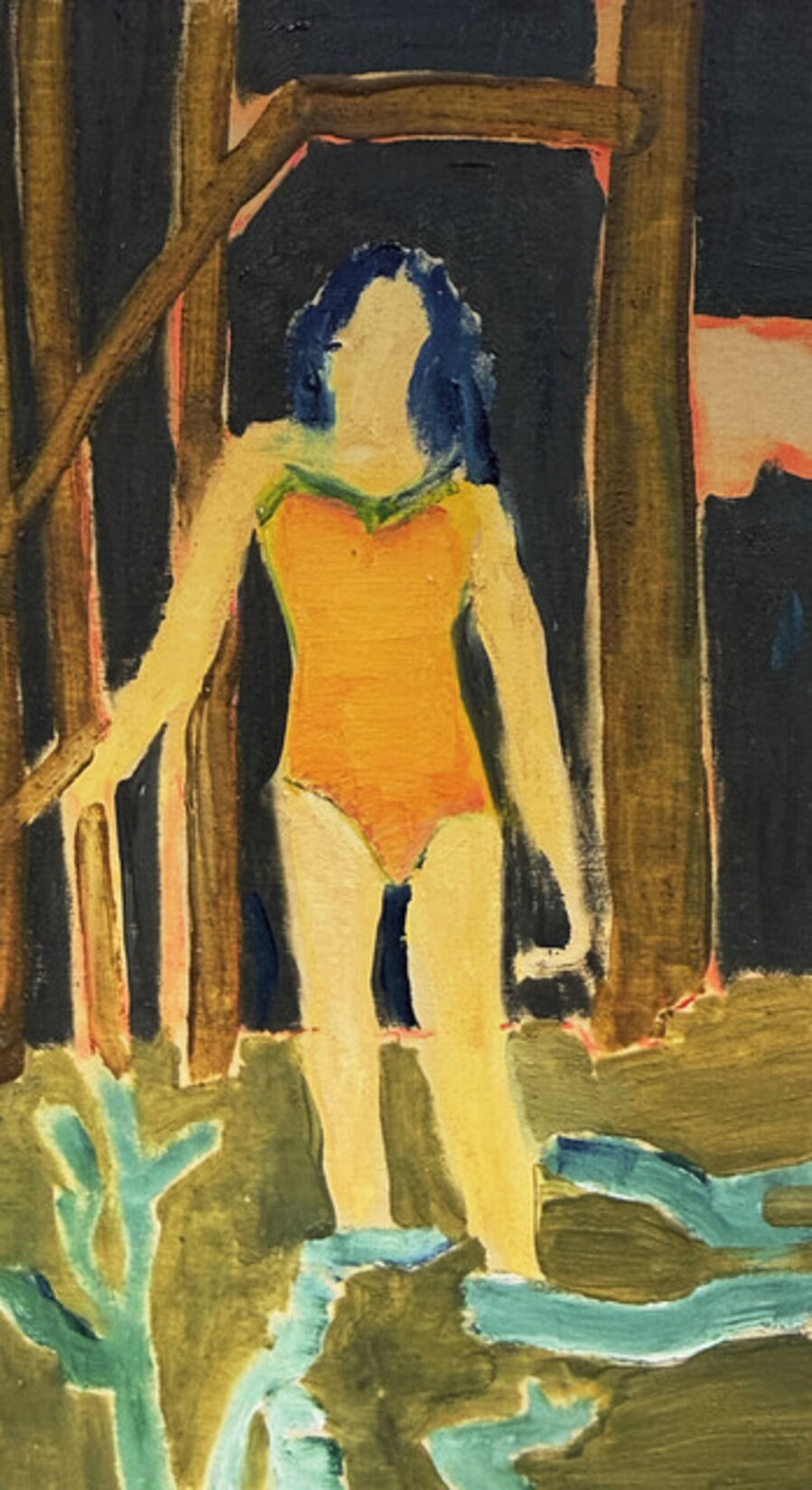 Lake Swimmer