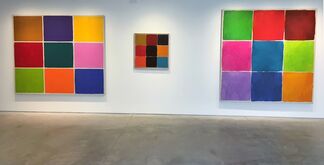 Ray Parker: The Nines, installation view