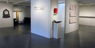 Siri Devi Khandavilli &  Reynier Leyva Novo, installation view