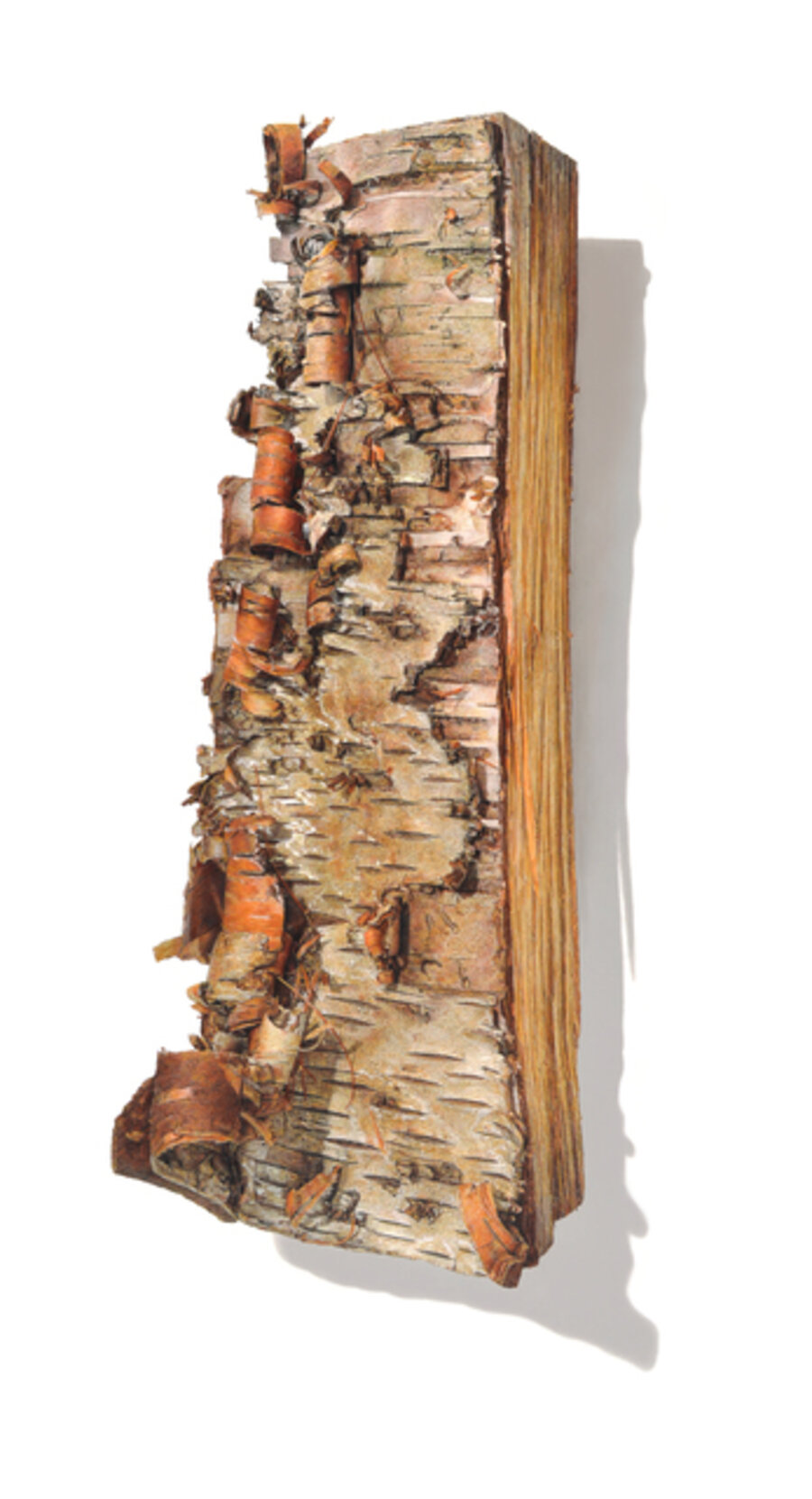 Firewood Series No. 1