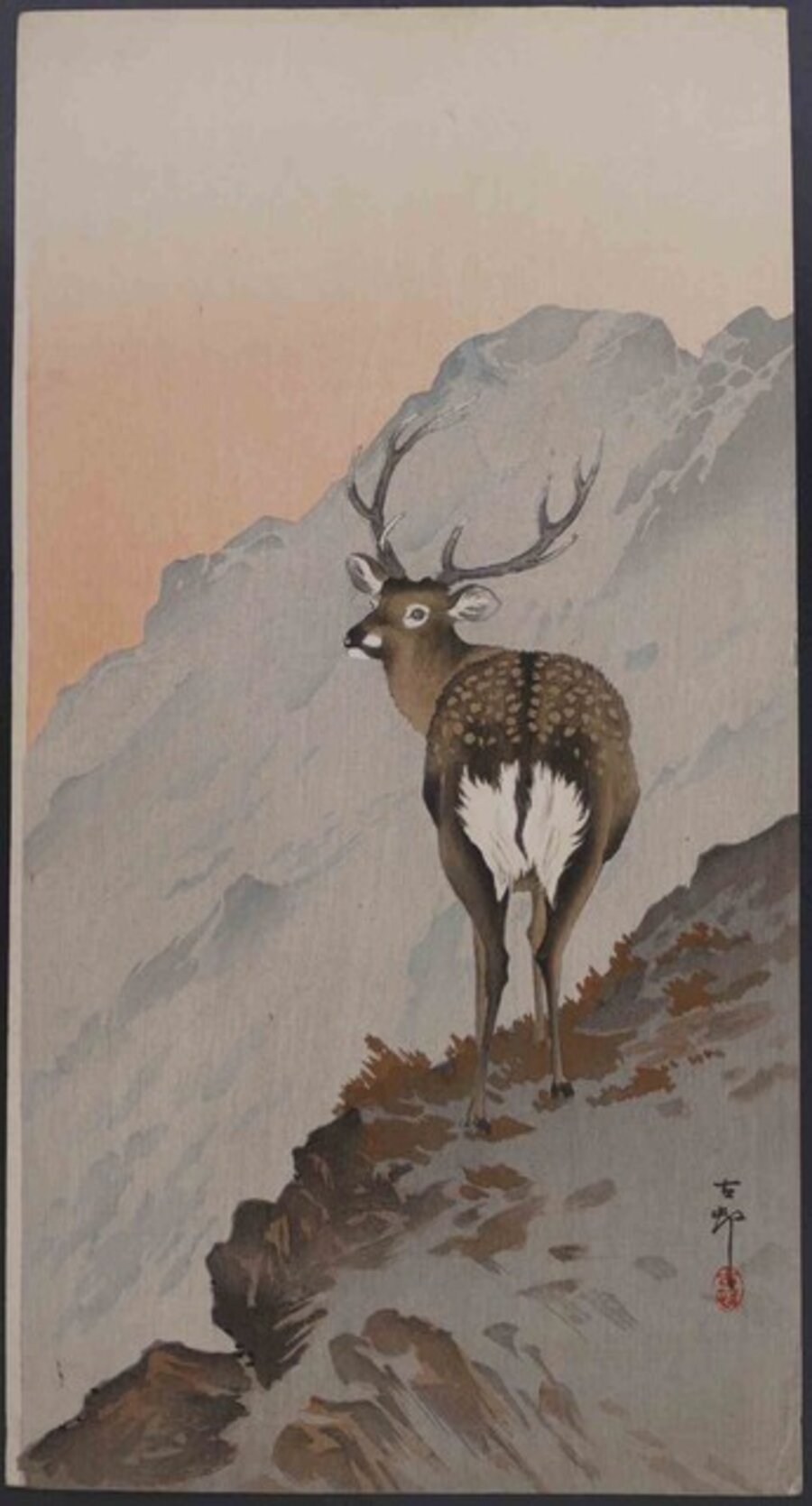 Deer on a Mountain Ledge at Dusk