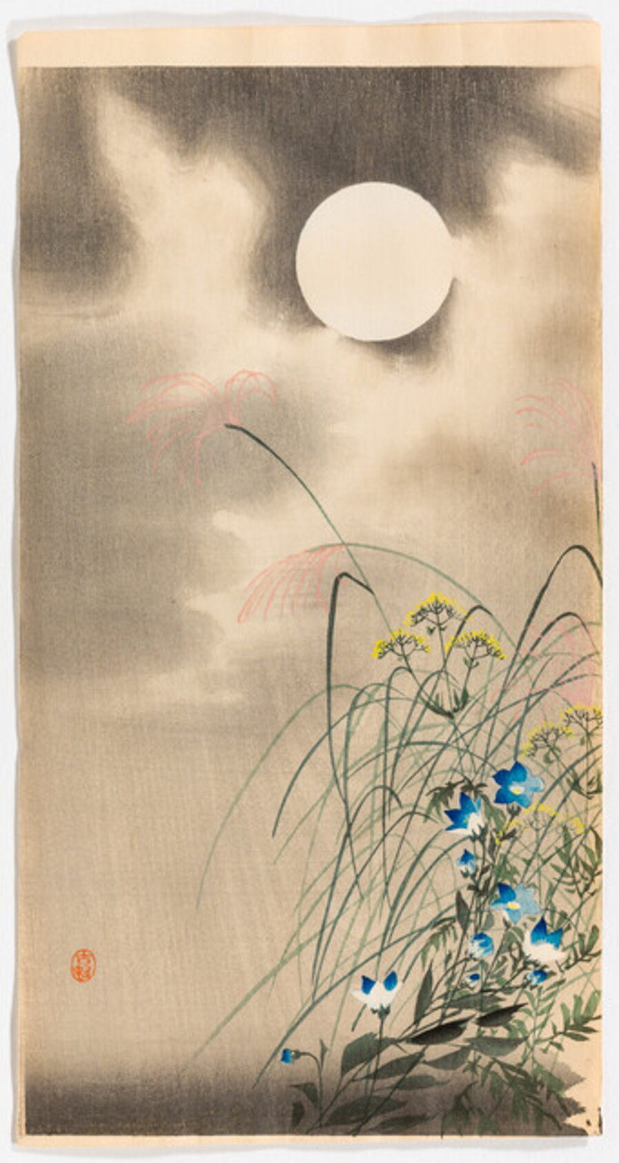 Autumn Grasses