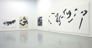 Lee Kang-So, installation view