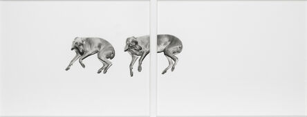 William Wegman, ‘Two Dogs’, 1993